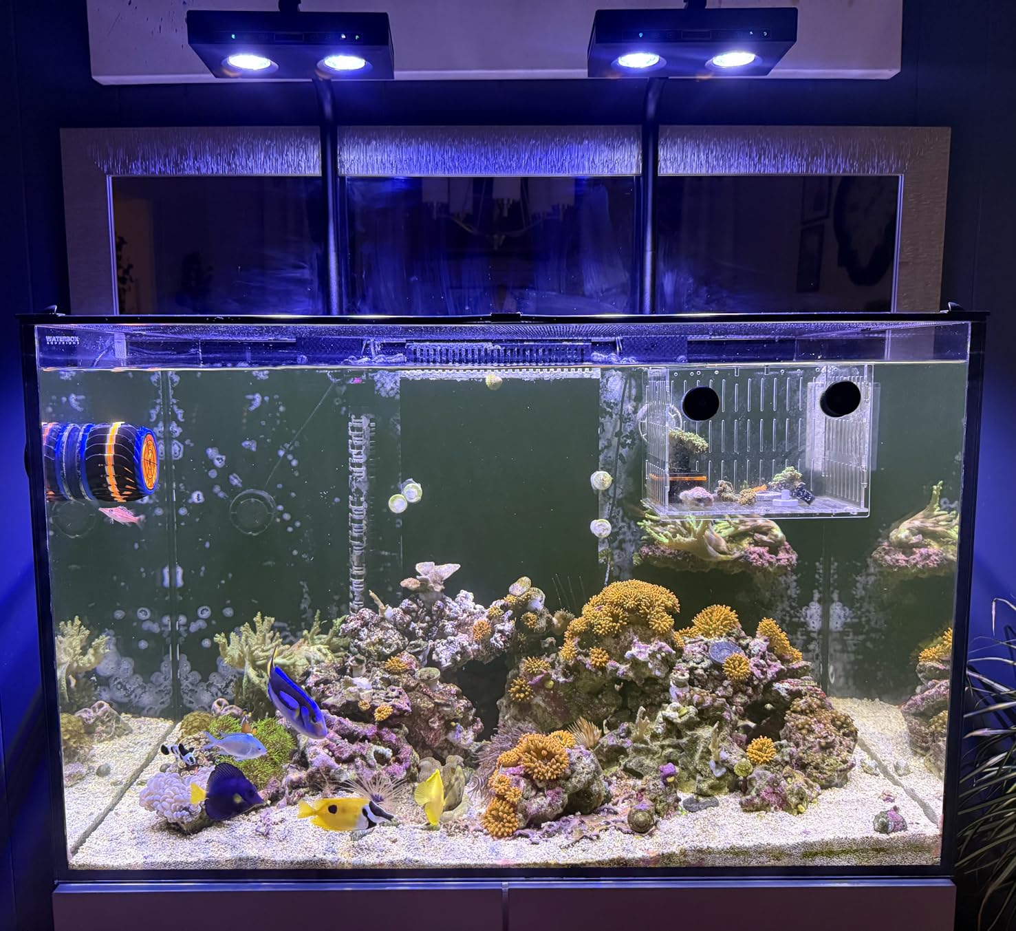 Aqua Marine Tank - Lampada LED per Acquario ad Alta