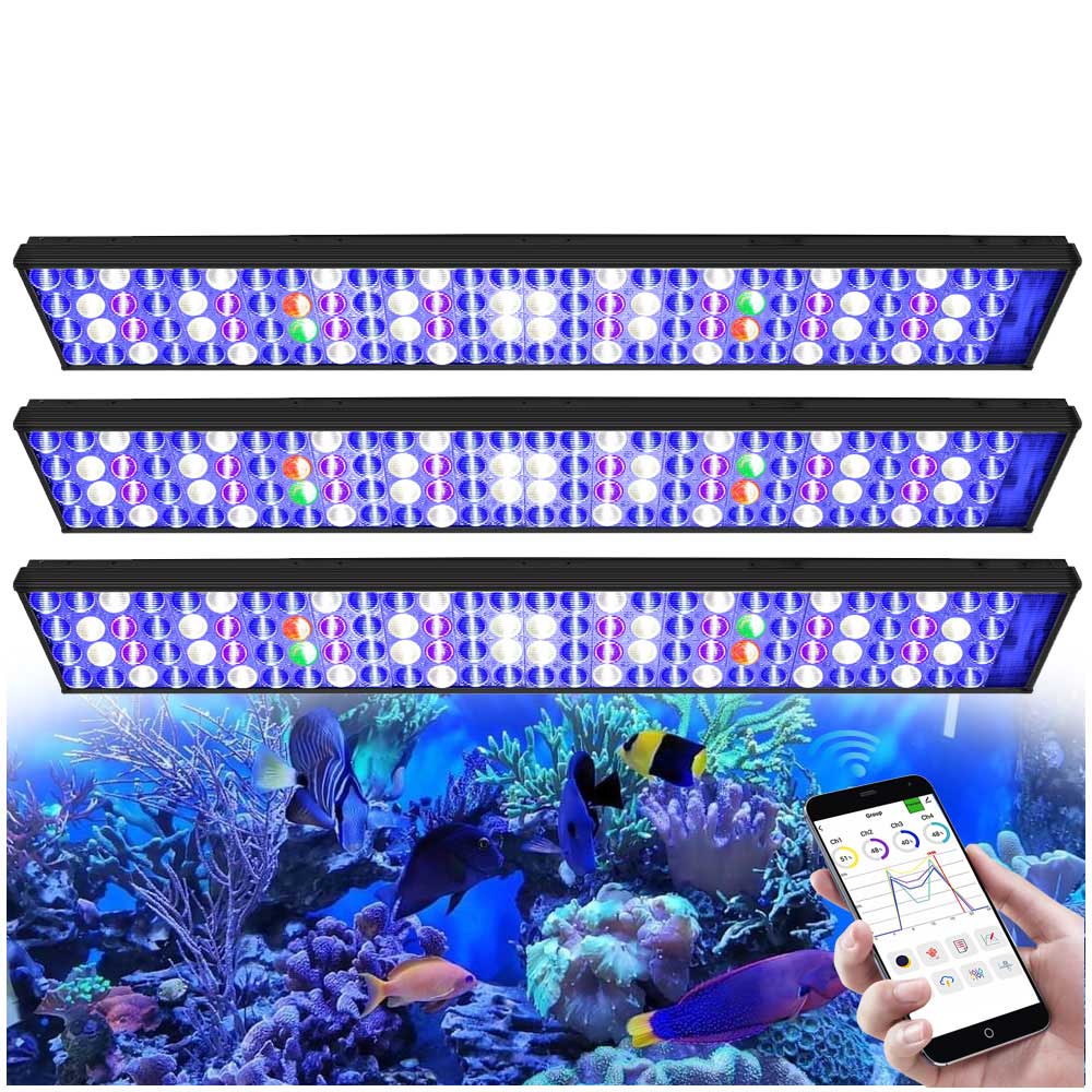 3 x PopBloom H75 WiFi Lampada  - Marine X Aquarium recensione e prezzo
