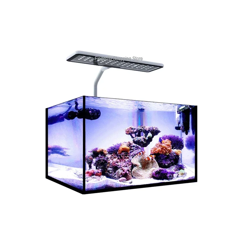 MicMol G2 Aqua CC Unboxing Aqu - Aqua Marine Tank recensione e prezzo