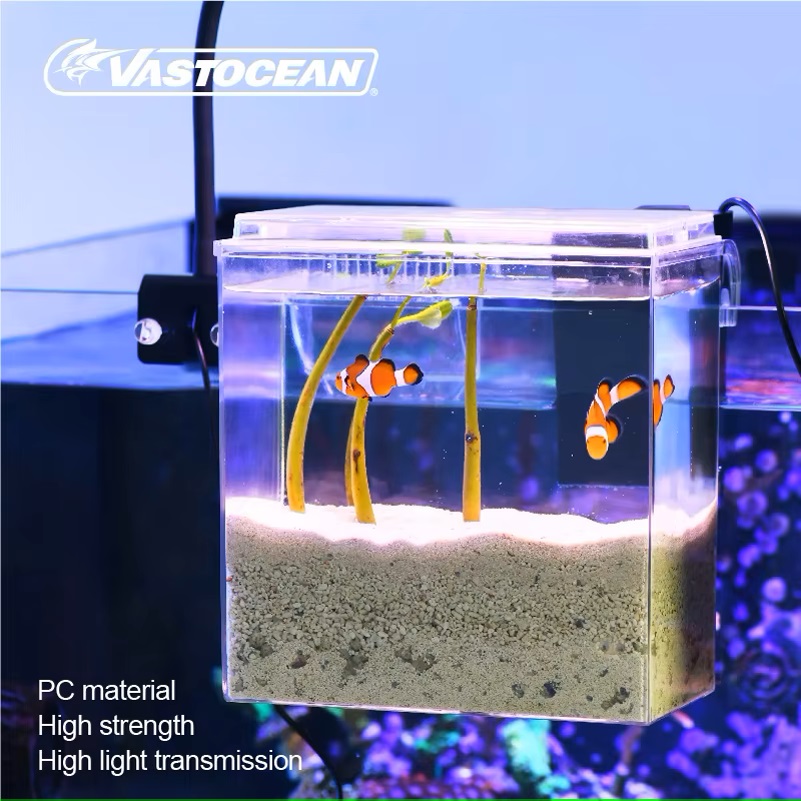VASTOCEAN Fish Tank Scatola di - Protein Skimmer Hang On recensione e prezzo