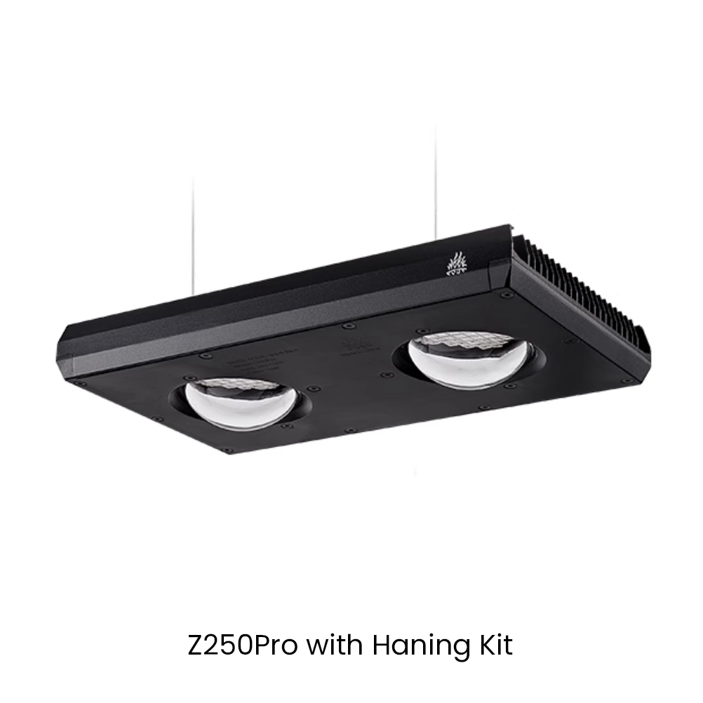 Lampada LED per Acquario Week  - Aqua Marine Tank recensione e prezzo