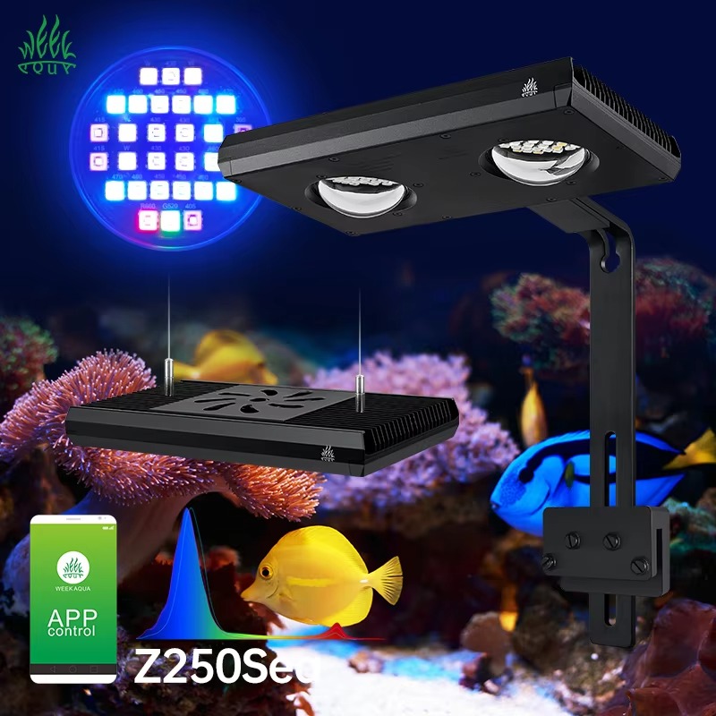 Lampada LED Week AQUA Z250/Z40 - Aqua Marine Tank recensione e prezzo