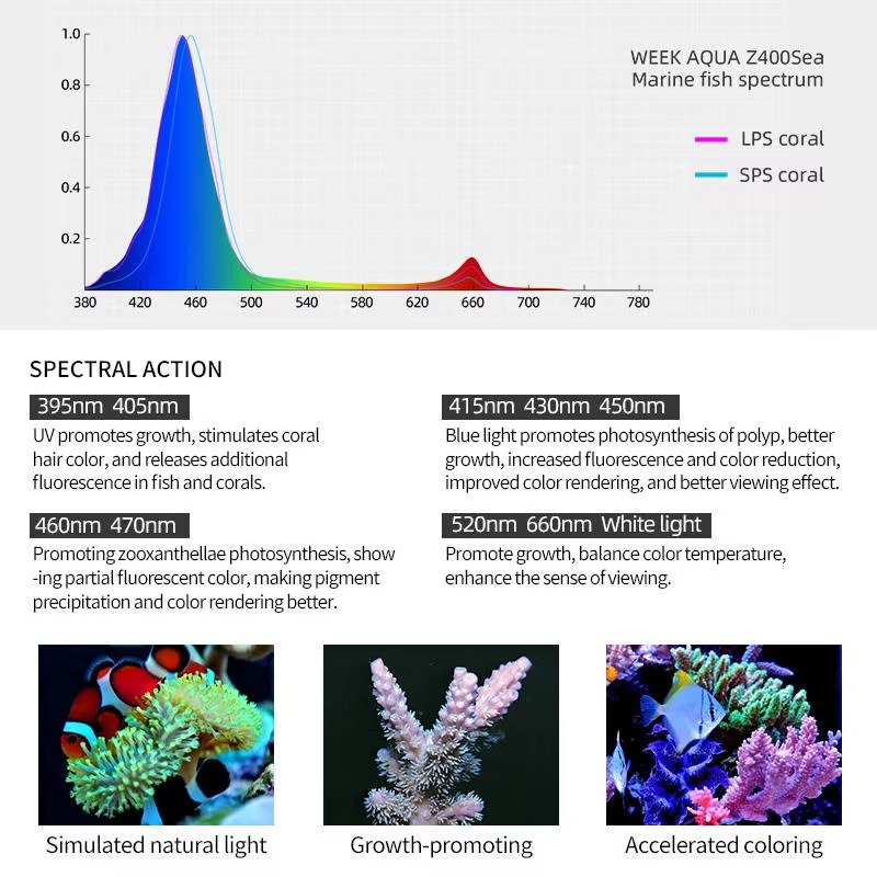 Lampada LED Week AQUA Z250/Z40 - Aqua Marine Tank recensione e prezzo