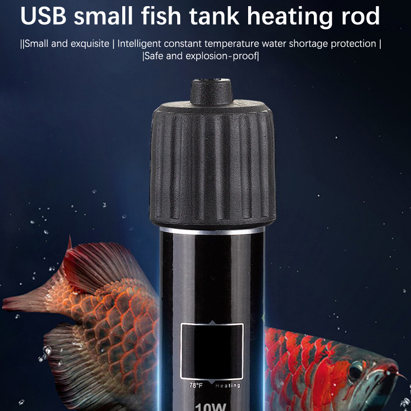 Asta riscaldante per mini acqu - Marine Aquarium Heater recensione e prezzo