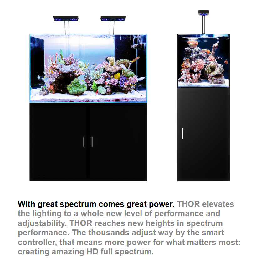 Lampada LED intelligente a spe - Marine X Aquarium recensione e prezzo