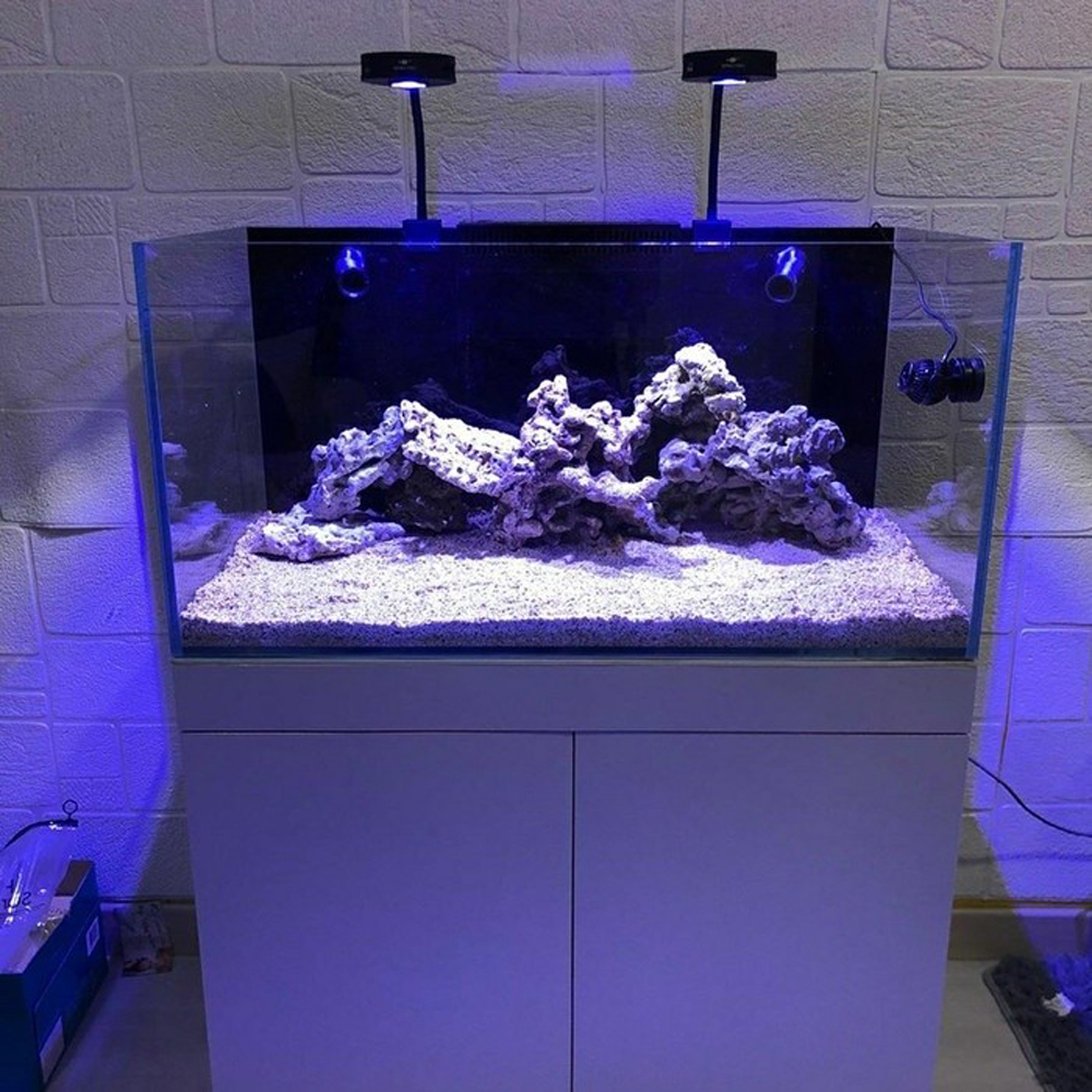 Spectra Aqua Knight V2 36W Spe - Aqua Marine Tank recensione e prezzo