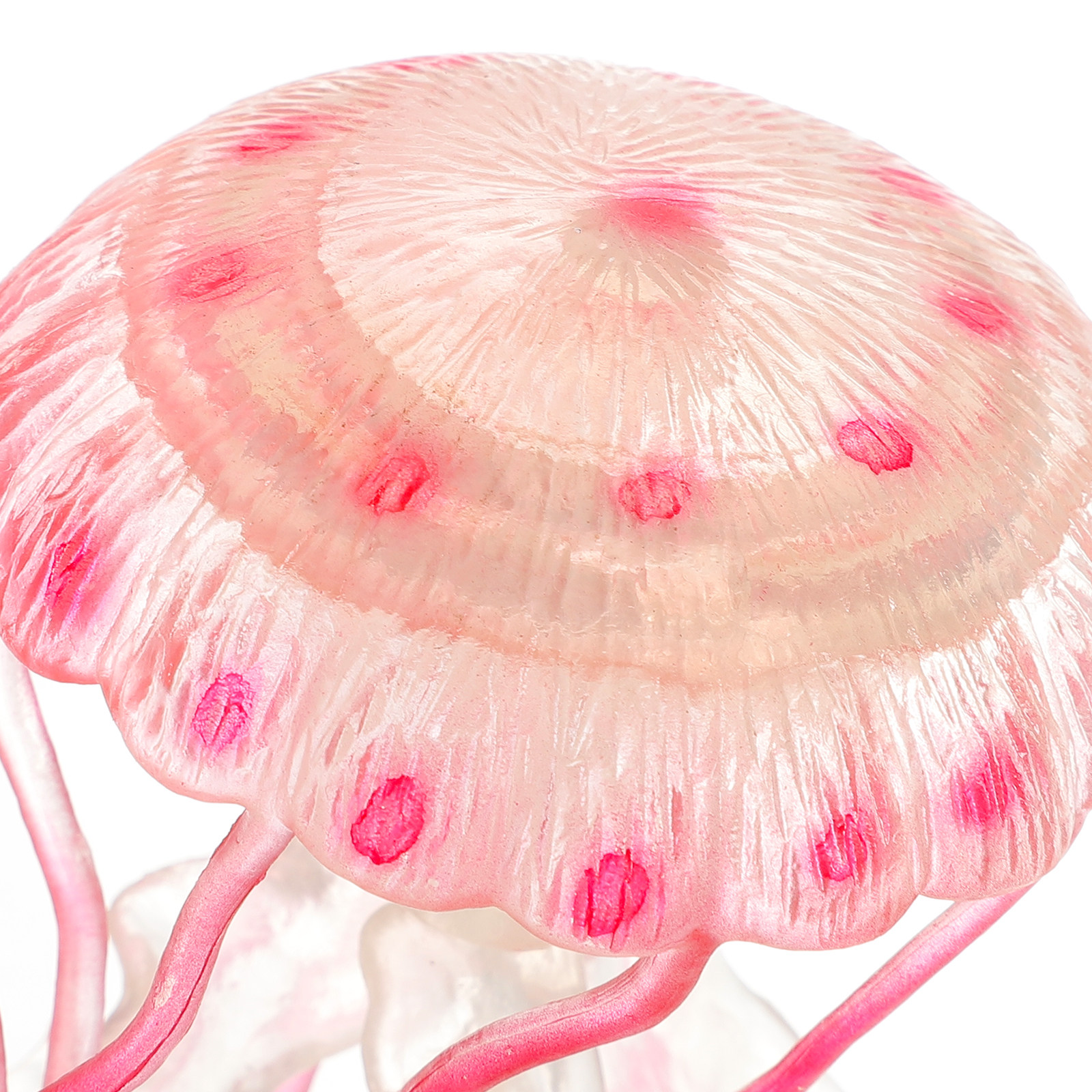 Decorazione Realistica di Medu - Marine Aquarium Home recensione e prezzo
