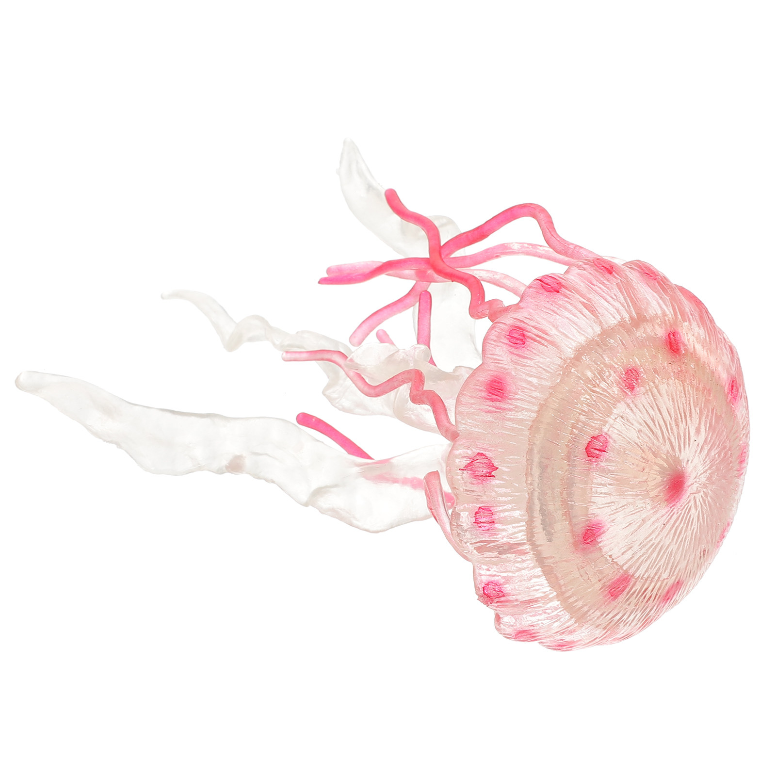 Decorazione Realistica di Medu - Marine Aquarium Home recensione e prezzo